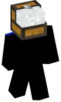 Skinfile
