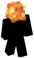 Skinfile