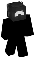 Skinfile