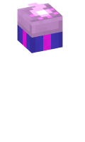 Skinfile