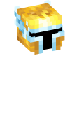 Skinfile
