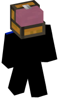 Skinfile