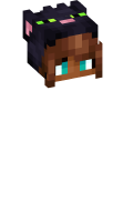 Skinfile