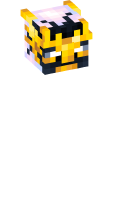 Skinfile
