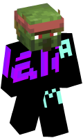 Skinfile