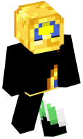 Skinfile