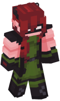 Skinfile