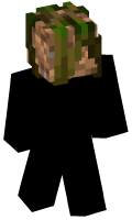 Skinfile