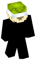 Skinfile