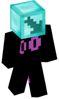 Skinfile