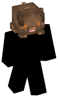Skinfile