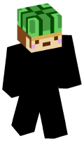 Skinfile
