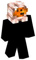 Skinfile