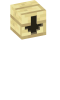 Skinfile