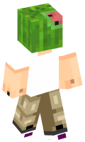Skinfile