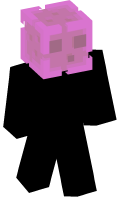 Skinfile