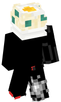 Skinfile