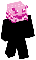 Skinfile