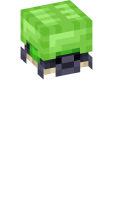 Skinfile