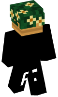 Skinfile