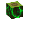 Skinfile
