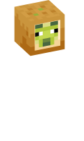 Skinfile