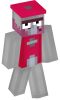 Skinfile