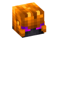 Skinfile