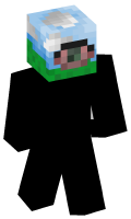 Skinfile