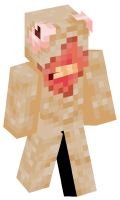 Skinfile