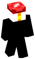 Skinfile