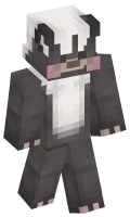 Skinfile