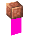 Skinfile