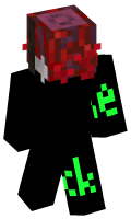 Skinfile