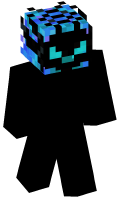 Skinfile