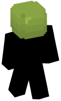 Skinfile