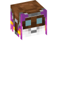 Skinfile