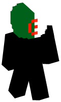 Skinfile