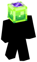 Skinfile