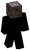 Skinfile