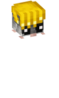Skinfile