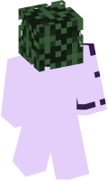 Skinfile