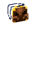 Skinfile