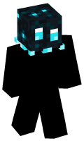 Skinfile