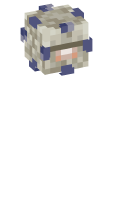 Skinfile