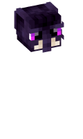 Skinfile