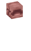 Skinfile