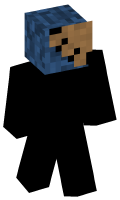 Skinfile