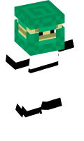 Skinfile