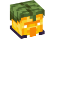 Skinfile